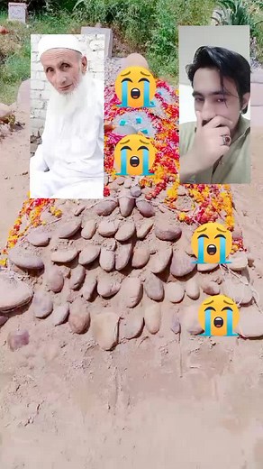 Creating Beautiful Stone Pyramids with Flower Petals