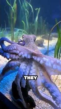 5 Unreal Animals That Will Blow Your Mind #Animals #Wildlife #Nature