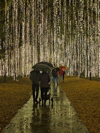 night of a thousand candles in the rain was magical ✨️ #asmr #rain #christmas