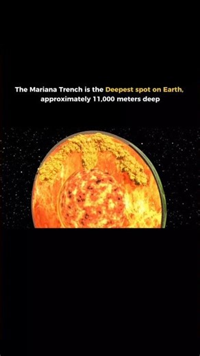 EP 4 THE SCIENCE DOCUMENTARIES 📽