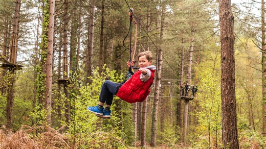 Brand-new treetop adventure attraction that's opened in a 600-year-old forest