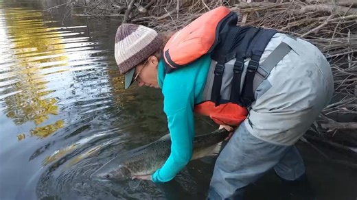 Whether in a kayak alone, raft, or on a boat with a trusted and experienced captain I always ensure that my loved ones and myself are wearing a PFD. There has been a string of drownings this past few years on guide boats. People get comfortable with the notion that they are safe in the hands of someone who makes their living on the water but it just takes one tiny mistake for a normal day on the water to become tragic. Wear your PFD, if not for yourself but for your loved ones. | Spilt Milt Prod