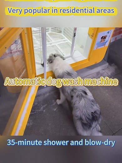 Automatic Dog Washer: Quick Clean in 35 Minutes