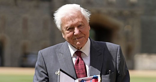 David Attenborough's tragic loss and friendship with Royal Family