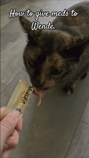 How to give medicine to Wende.