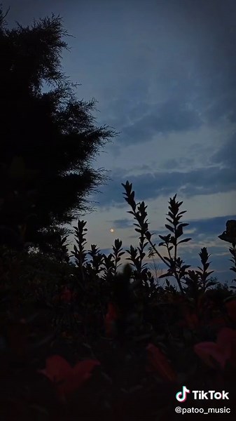 ͦͦͦͦͦ on TikTok