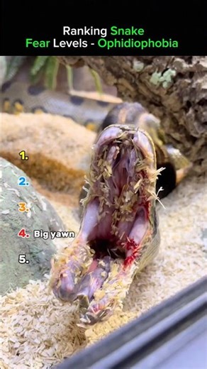 The Last One Is Really Scary🥶