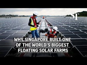 Why Singapore built one of the world’s biggest floating solar farms