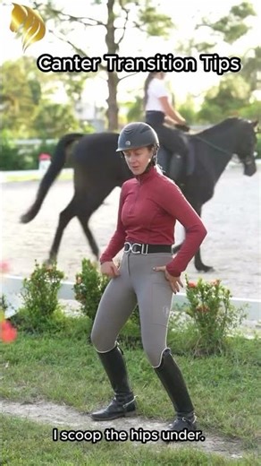Easy Steps For Smooth Canter Transitions #canter #transition #learning #training #horse