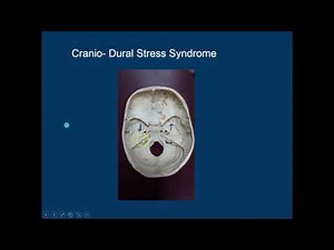 Cranial Release Technique (CRT) - The Cranial Base
