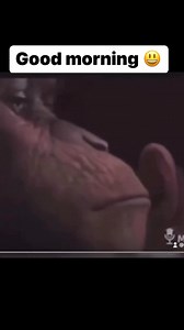 Canton Jones on Reels