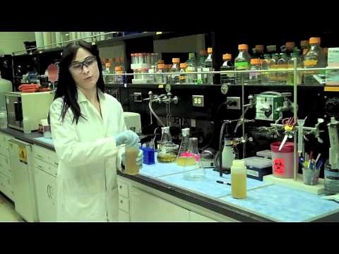 Protein Purification