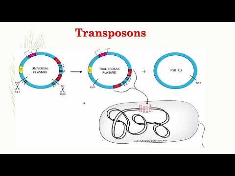 Lecture -20 - Transposons and Integrons