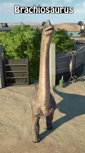 T-Rex Rexy VS Brachiosaurus #dinosaur #jurassicworld #jurassicpark