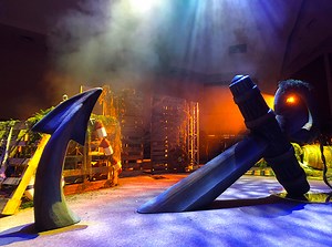 Custom Theming & Design - PrimeTime Amusements