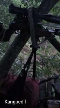 menunggu 🐷 di sore hari di dalam hutan.