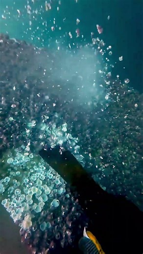 Why Ships Scrape Off Barnacles — The Hidden Cost of Fouling