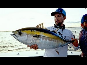 INSANE Dusk Tuna Bite in Florida
