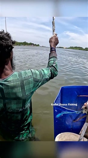 Easy Mullet Catch 🎣 | Triple Hook Setup & Maida Bait #fishing #fishingequipment #fish #handfish