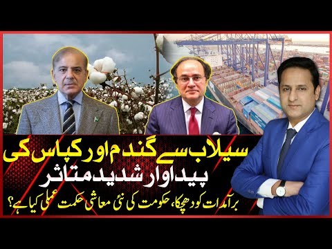 Flood Impact on Wheat & Cotton Exports | What’s the Govt’s New Strategy? | Asal Baat