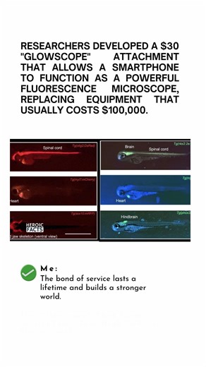 The Glowscope That Turns Smartphones Into High End Lab Microscopes