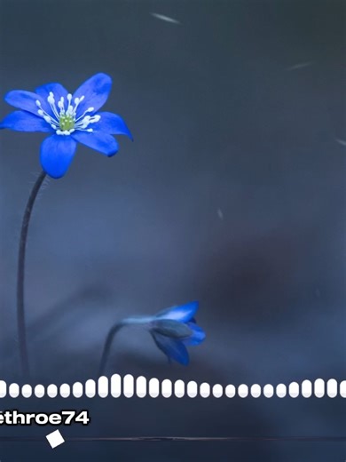 LUPA: A Rock Cover with an Inspirational Message