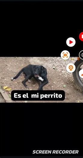 ayúdenme a buscarlo se yama piter porfavor me dicen asé días que lo estoy buscando😭😭😭😭😭😭😭😭😭😭😭😭😭😭😭😭