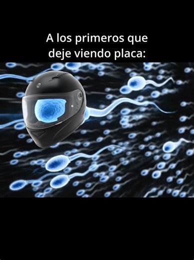 Placas de Motocicletas: Lo Que Debes Saber