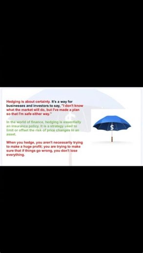 What is Hedging? Financial Strategy Explained in one Minute #education #profitmaximization