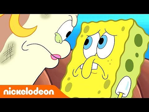 SpongeBob Schwammkopf | Crash Test Spongebob | Nickelodeon Deutschland