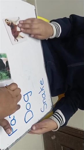 The Habibians Inclusive Education System Learning animal names the fun way!Our students enjoy