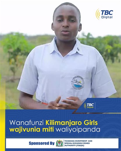 TBC DIGITAL on Instagram: "Wanafunzi wa Shule ya Sekondari ya Wasichana Kilimanjaro wamesema elimu ya nadharia na vitendo juu ya mazingira na upandaji miti wanayoipata shuleni hapo imewajenga katika kuthamini na kutambua umuhimu wa utunzaji wa mazingira kwenye maisha ya binadamu. Wakizungumza na TBC Digital shuleni hapo, baadhi ya wanafunzi hao wamesema kupitia elimu ya mazingira wanayoipata, imewafanya kuwa mabalozi wazuri wa mazingira kwenye jamii wanayotoka. Aidha ya wanafunzi hao wamesema ku
