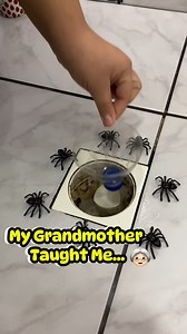 This clever trick keeps bugs out of your home 🤗 #tipsandtricks #tips #lifehack #hacks | My Tips Book