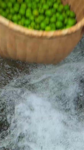 Traditional Rustic Cooking: Plum Jam and Syrup Recipe