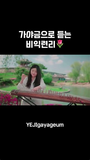 봄이니까 들어줘야죠 가야금으로 듣는 비익련리💐🌷🌸🌺🌼