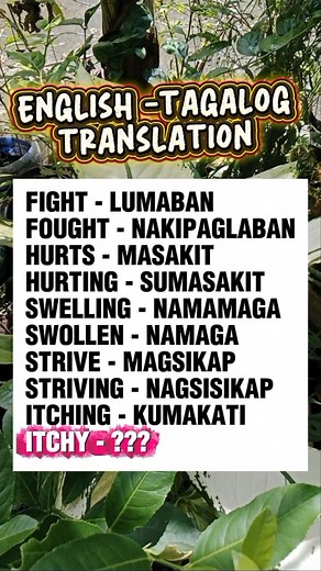 22K views · 164 reactions | English -Tagalog Translation ✨ English Learning ✨ #fblifestyle | Ivy A. Hernandez | Facebook