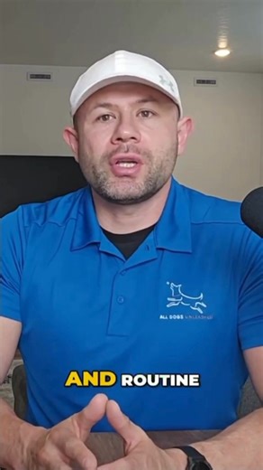 Dog Training: Unleashing Mental Stimulation & Structure A well-trained dog isn’t just obedient. They are mentally fulfilled. Mental stimulation and structure help your pup stay focused, confident, and calm throughout the day. At All Dogs Unleashed Boise, we use training that challenges the mind and builds healthy habits that last. Learn more link in bio #AllDogsUnleashedBoise #DogTrainingBoise #MentalStimulation #StructuredTraining #DogObedience #BoiseDogs #BalancedTraining | All Dogs Unleashed 