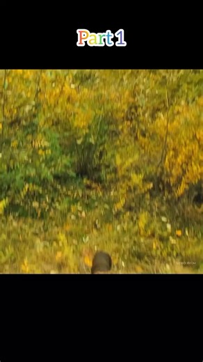 #filmexplained #moviebreakdown #movieexplanation #movieexplained #endingexplained