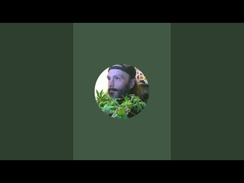 owner of raw papers I've seen some of your videos I was wondering if you were hiring or buy my ideas