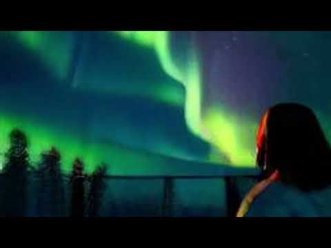 ✨5 Hours of Royalty Free Lofi Background Music✨