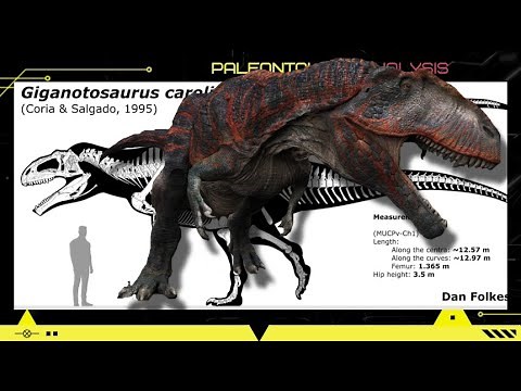 Paleontology News: The Size Limit of Giganotosaurus