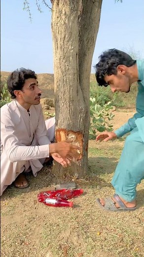 Magical Tree Se Nikaly Cold drinks | Magic | Funny | Shorts | Viral #funny #youtubeshorts #viral