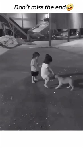 8.5K views · 44 reactions | .#funny #humor #memes #relatable #laughter #jokes #comedy #hilarious #internetmemes #dailymemes #memeculture #viralhumor #laughoutloud #satire #amusing #giggle #witty #lighthearted #comedicrelief #internethumor #memepage #funnypics #jokeoftheday #entertainment #socialmediahumor #memecommunity | Game of Memes | Facebook