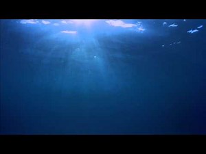 Underwater (FREE Video Background 1080p)