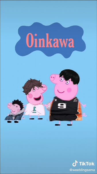 Hilarious Haikyuu Pig Bag Compilation