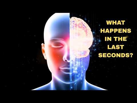 The Science Behind Life’s Final Moments