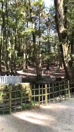 【KYOTO】 Must-See Tourist Attraction - Anshoji Temple