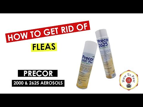 How to Get Rid of Fleas FAST | Precor 2000 & Precor 2625 Aerosol Tutorial