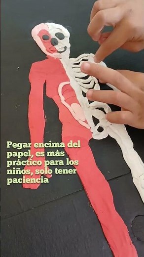 Sistema Locomotor ( materiales económicos ). #humanos #tarea #tareasescolares #primaria