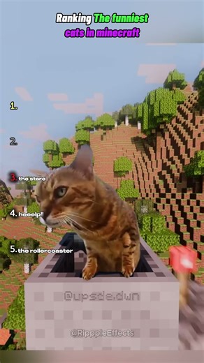 Ranking the funniest cats in minecraft 😂😂 #edit #shorts